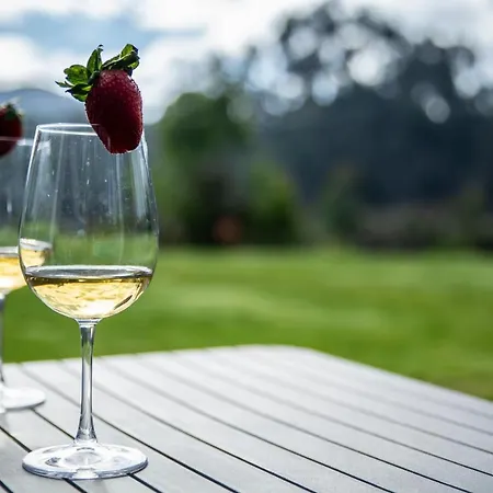 Rencanto - Um Espaco Com A Sua Assinatura Caminha