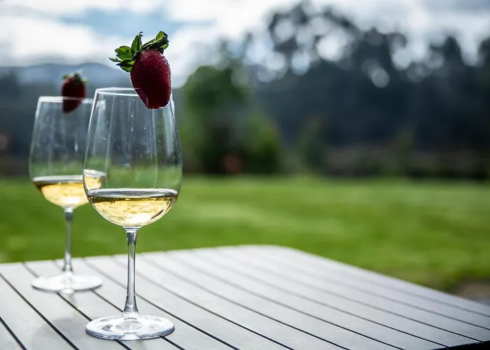 Rencanto - Um Espaco Com A Sua Assinatura 卡米尼亚